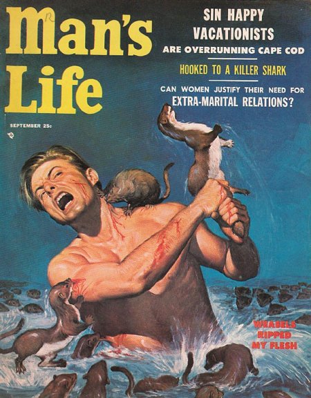 The vintage cover of man's life.