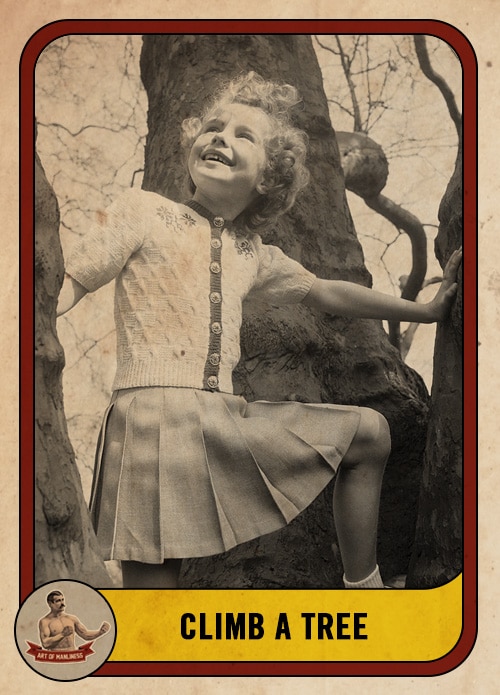 Vintage girl climbing a tree smiling.