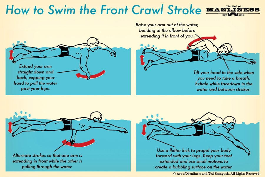 Learn how to swim the front crawl stroke with this helpful guide.