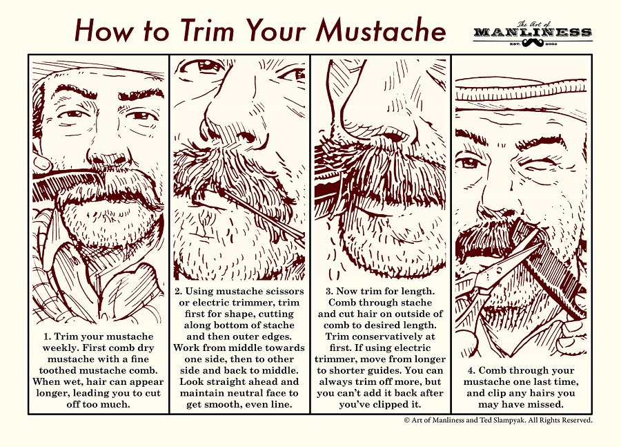 How to Trim Your Mustache Illustration of how to trim the mustache.