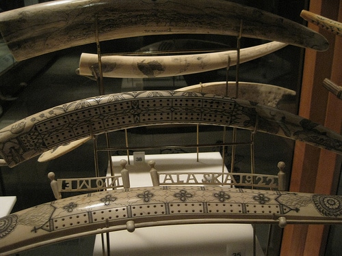 Walrus tusk cribbage boards in Alaska. 