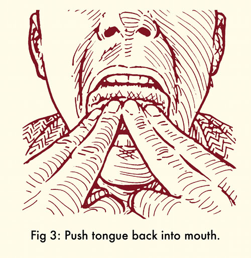 Whistle 3 Whistle with fingers by pushing tongue back into mouth.
