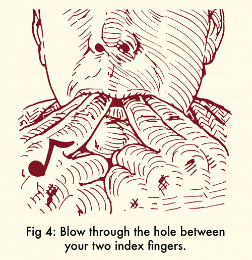 Whistle 4 How to whistle blow through hole between index fingers.