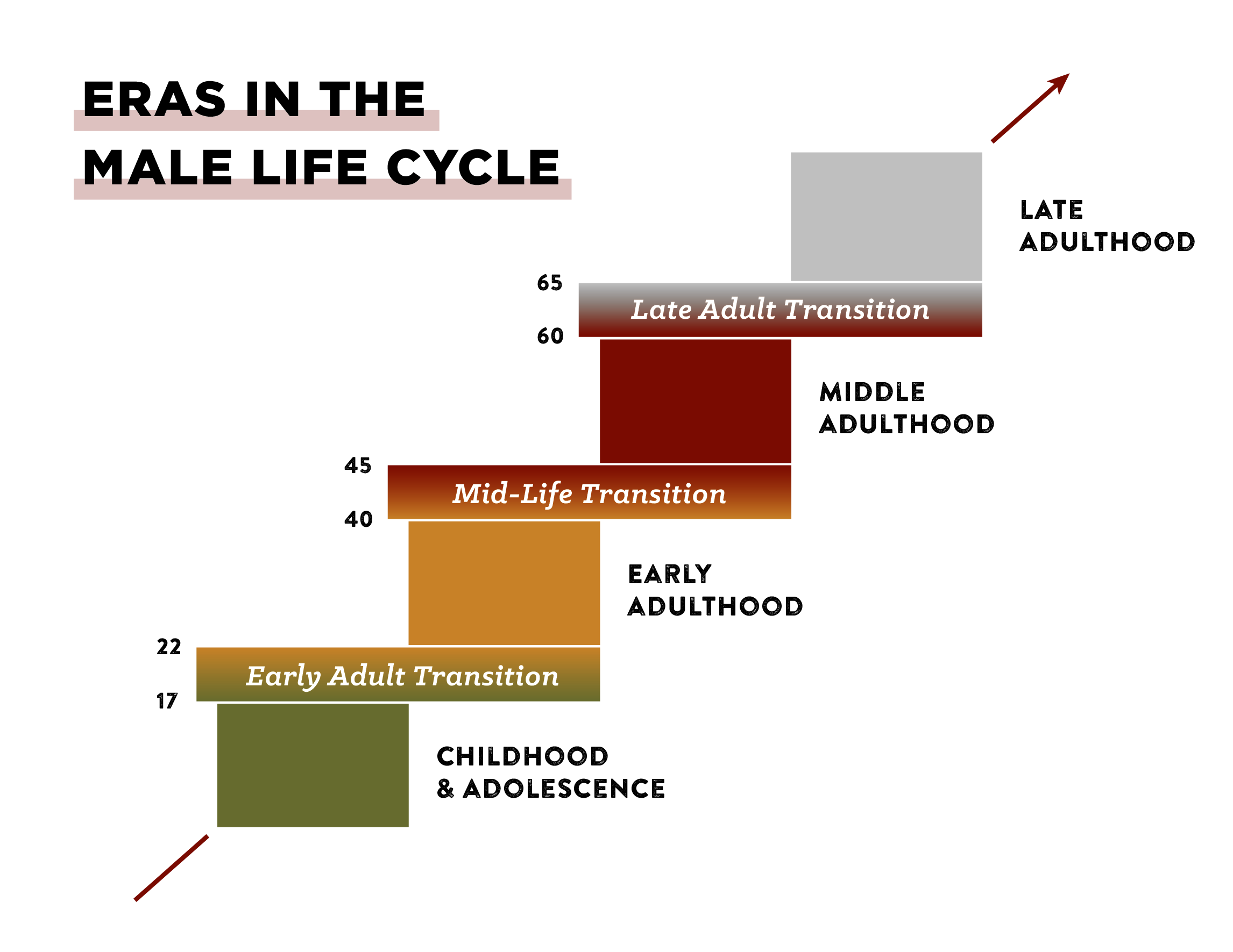 Table of "Eras in the male life cycle" is displayed.