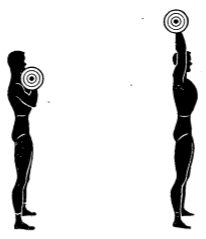 Army physical training strength Military Press.